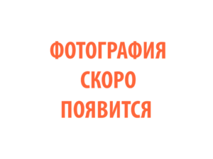 Фото 86 - Плазменный резак  TECH CS 101.